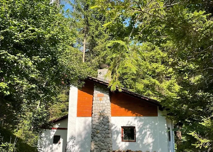 度假居 Designer Riverfront Podljubelj