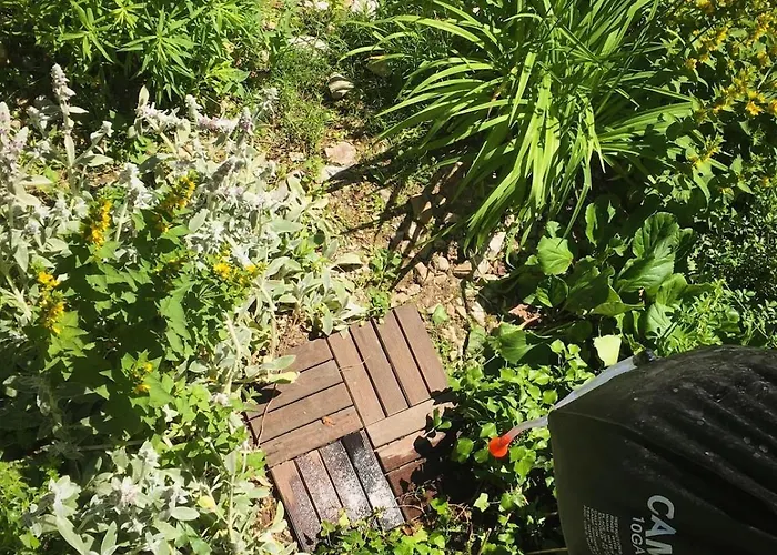 Designer Riverfront Podljubelj